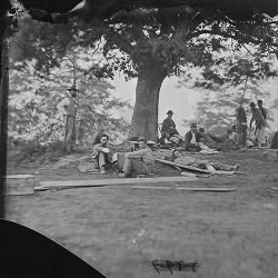 Wounded soldiers under trees after battle of Spotsylvania